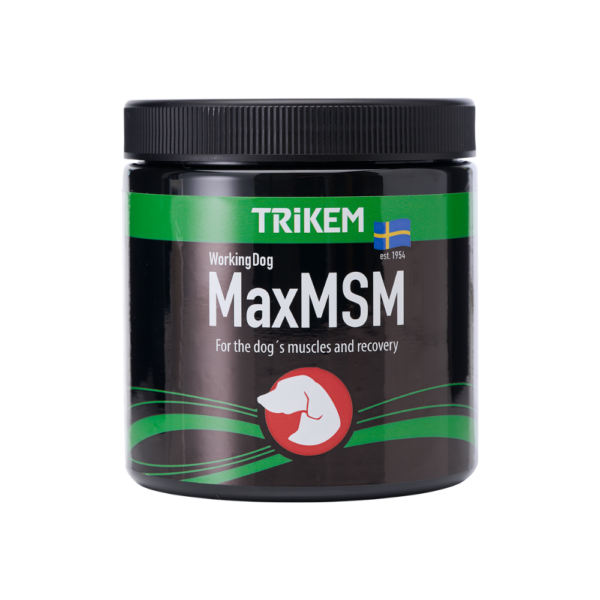 WorkingDog Max MSM