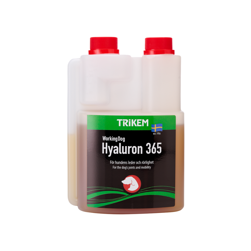 hyaluron365-500